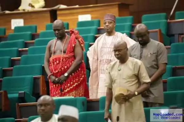 Lol ..see what a lawmaker wore to the National Assembly (photos)
